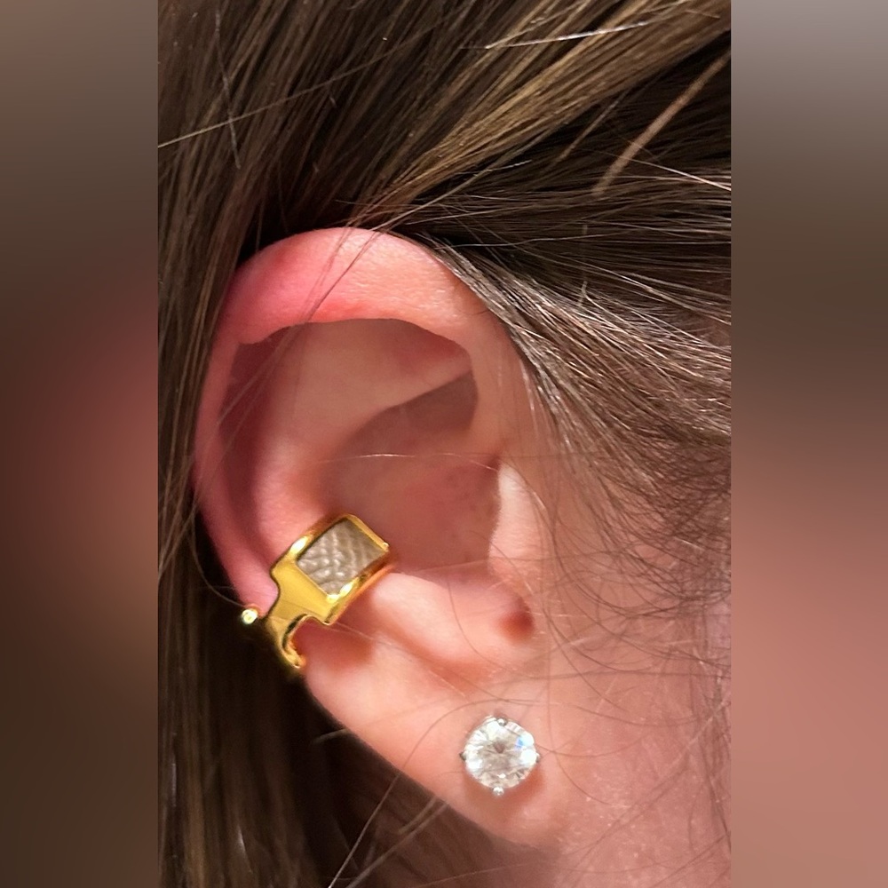 Hermes Gold and Brown Earrings